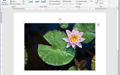 How to compress files sizes of photos or graphics in Microsoft Word Documents